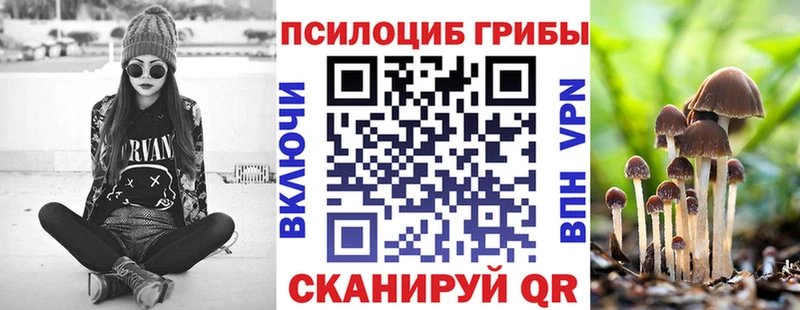блэк спрут tor  Камешково  Галлюциногенные грибы Magic Shrooms  закладка 